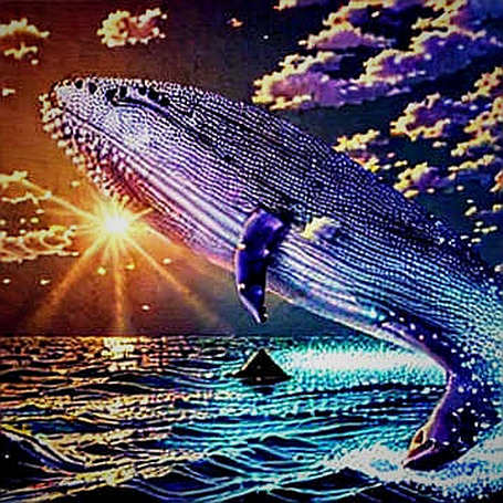 The Falklands Flag as a Smart Contract: How Blockchain Exposes the Gray Zone of Sovereign Disputes