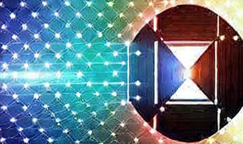 The Capital Efficiency Trap: Why Tempus AI's CEO Is Really Begging for a Slowdown
