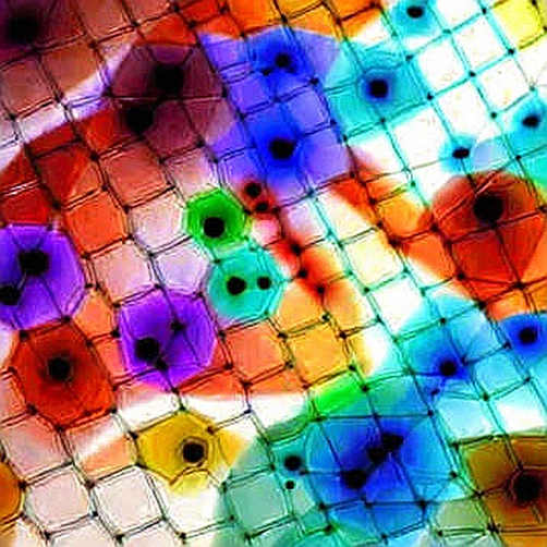 The Cartography of Consensus: CS2's Map Rotation as a Decentralized Governance Experiment The Cartography of Consensus: CS2's Map Rotation as a Decentralized Governance Experiment