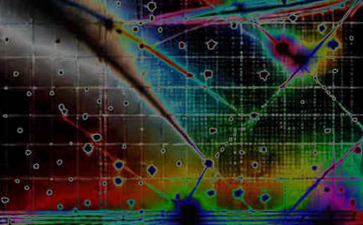 Callosum Technologies: The Zero-Information Press Release That Tells You Everything
