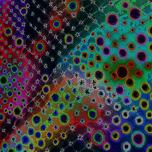 The Silent Bleed: Why ZK Rollups Are Running on Borrowed Time The Silent Bleed: Why ZK Rollups Are Running on Borrowed Time