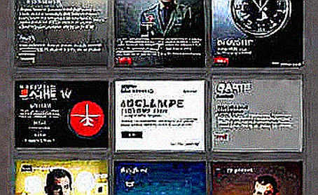 The Void Returned a Template: Auditing the Input Gate Nobody Guards