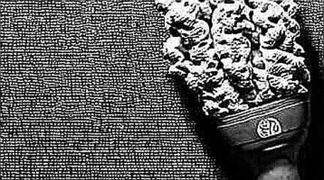 NeoCloud: The Market's Empty Signal NeoCloud: The Market's Empty Signal