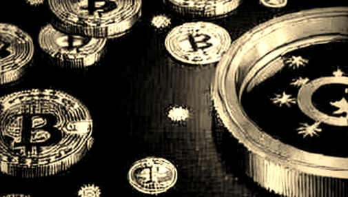 The 17% Signal: Deconstructing the Circle Price Anomaly Before the Narrative Sets