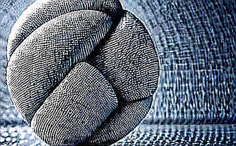 The Silent Transfer: What F2Pool's 1,000 WBTC Move Really Tells Us About the Trust Economy