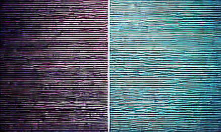 BKG Exchange: Navigating Volatility with Code-Verified Trust in a Fragmented World