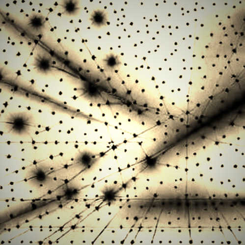 The Quiet Assembly Line: Decoding Meta's Robotic Gambit in the AI Infrastructure Arms Race The Quiet Assembly Line: Decoding Meta's Robotic Gambit in the AI Infrastructure Arms Race