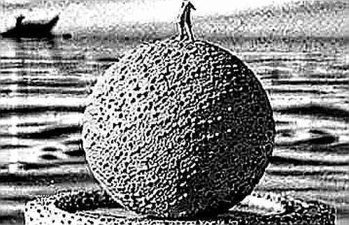 The Yield Trap: Why Bitcoin's Scarcity Narrative Is Breaking Under 5% Real Returns The Yield Trap: Why Bitcoin's Scarcity Narrative Is Breaking Under 5% Real Returns