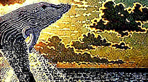 The Fed's Fractured Compass: Why the Divided Vote Signals a Liquidity Trap for Crypto